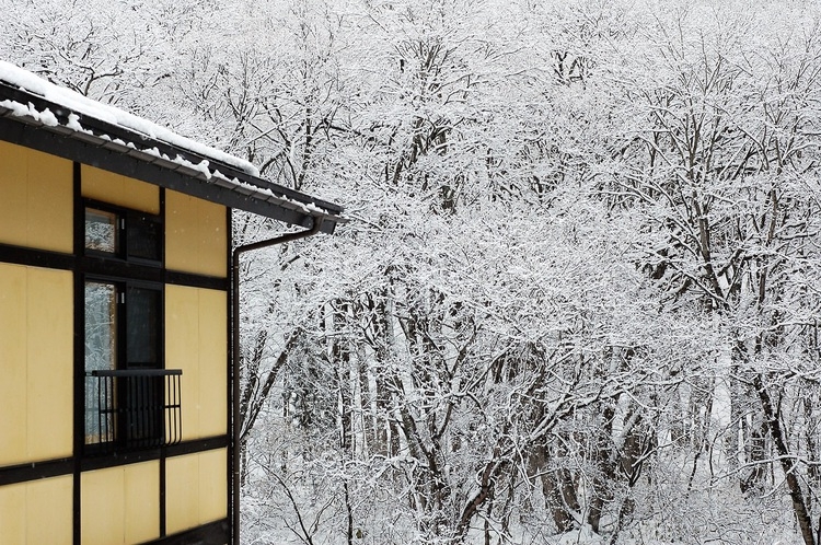 【深山の四季の旅への思い出に】　奥会津の郷土料理とともに味わう　★　岩魚の骨酒付き山旅プラン　★　　