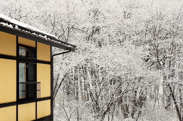 【紅葉から落葉そして初雪の季節】期間限定・晩秋から初冬のお得な秋旅プラン