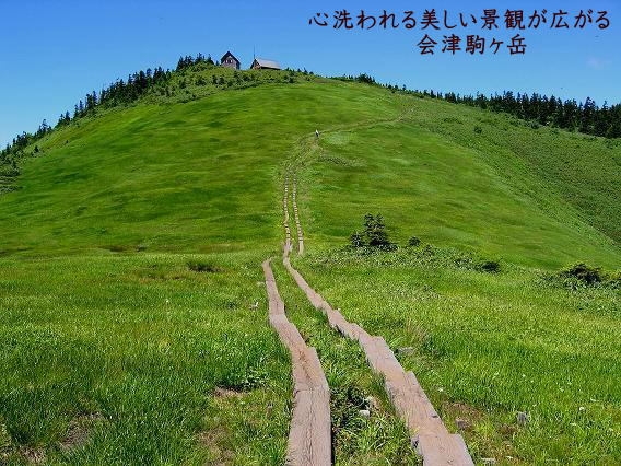 【　花の名山　会津駒ケ岳・昼食お弁当付山旅プラン　】四季折々の原生林を歩き、心洗われる別世界の景観へ