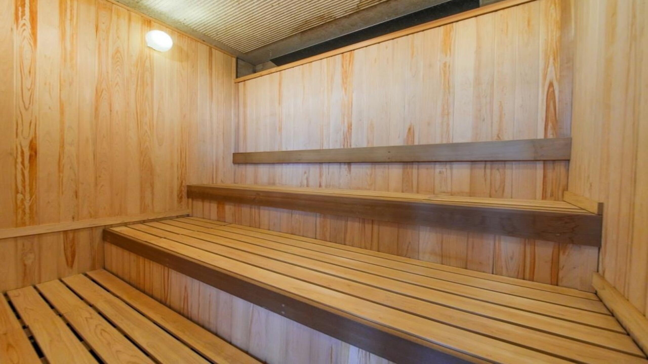 【湯ったり日帰りプラン】11時〜17時まで最大6時間滞在可！天然温泉大浴殿・サウナ完備！