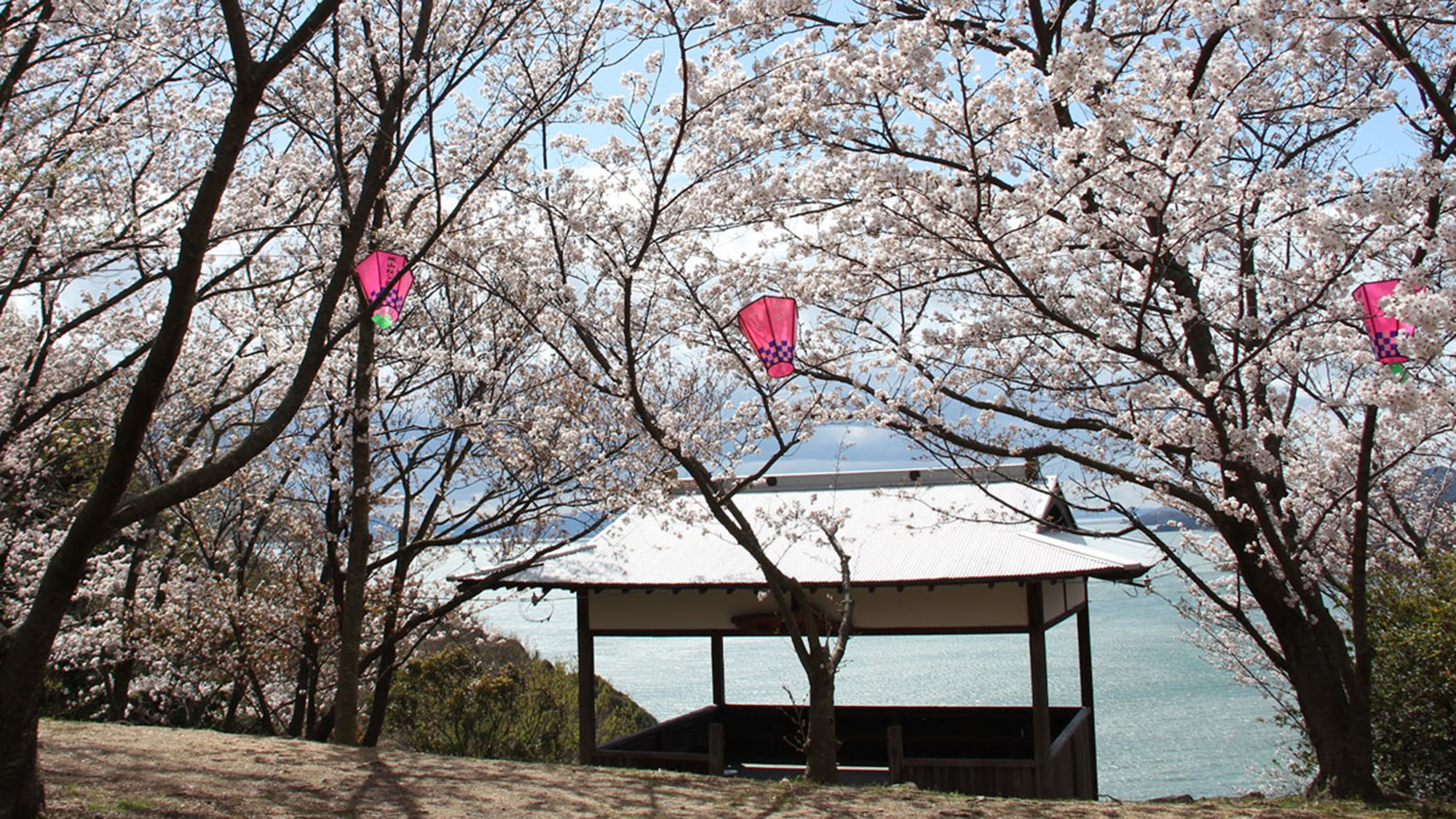 城山桜公園★「二十四の瞳」や「Nのために」のロケ地