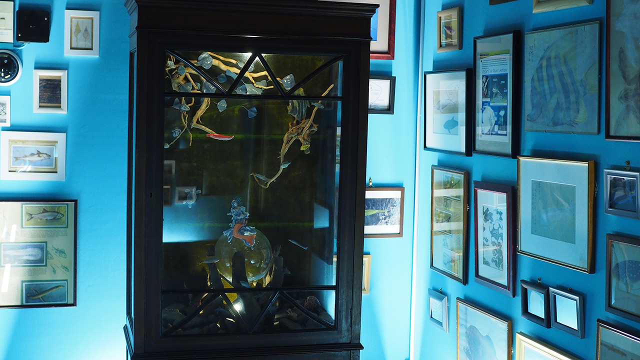 瀬戸内国際芸術祭作品 『漁師の夢』＠二十四の瞳映画村