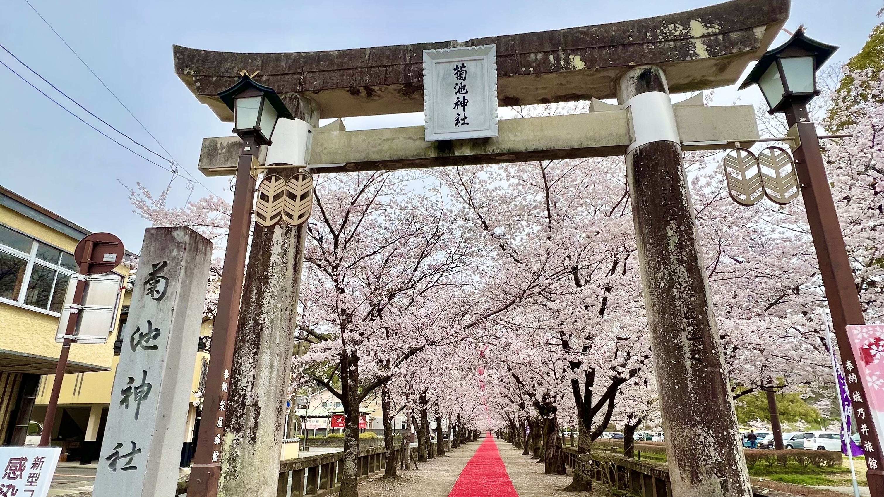 菊池神社☆ホテルから車で約30分