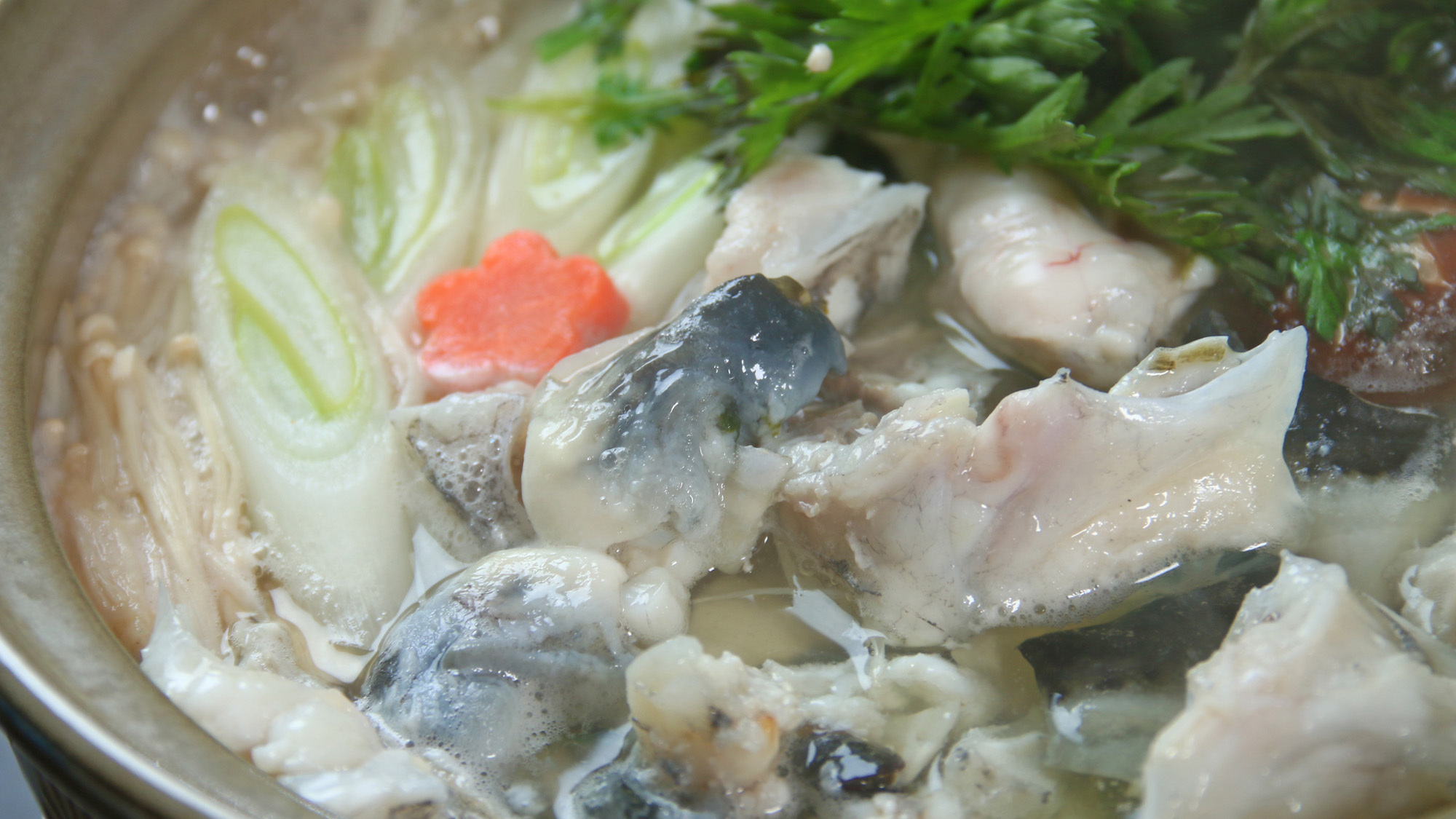 【若狭の冬味覚】心ゆくまで食べつくす！若狭の名物《『若狭とらふぐ』スタンダードコース》