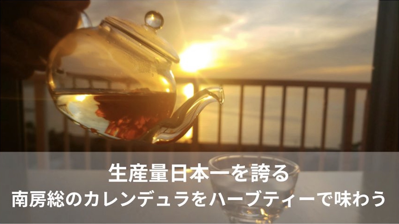 【春限定】生産量日本一！南房総カレンデュラと夕陽と香りを楽しむ癒しのハーブティープラン（素泊まり）