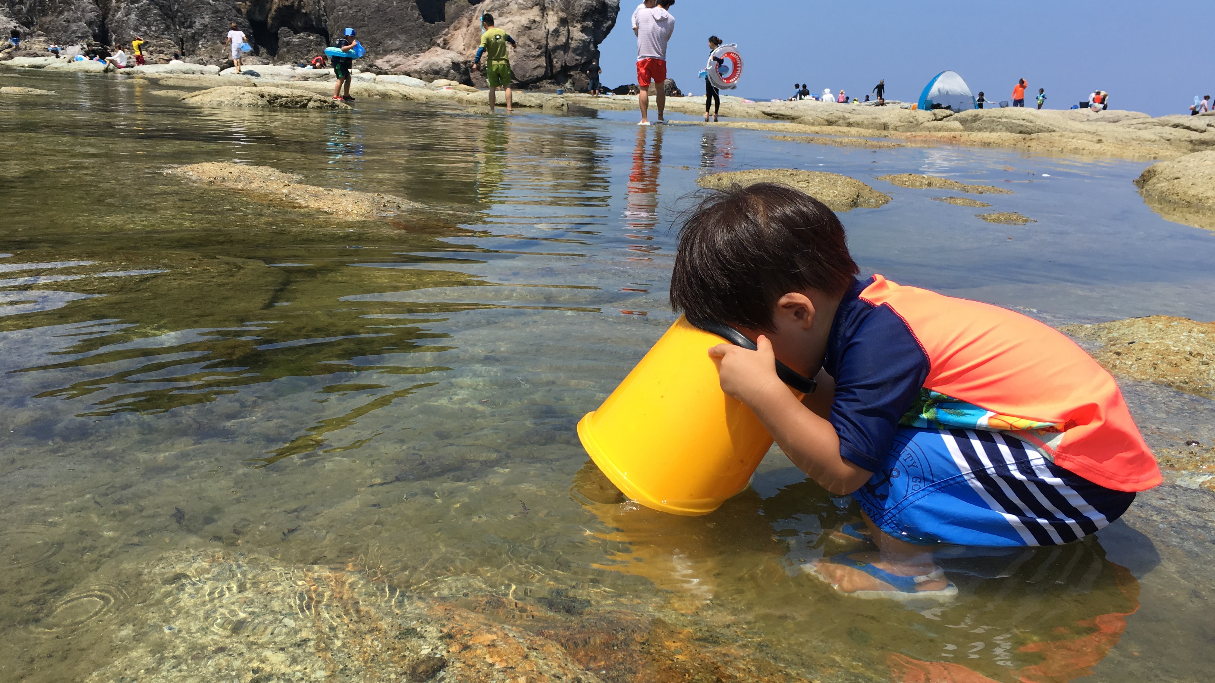 目の前の海岸で磯遊び