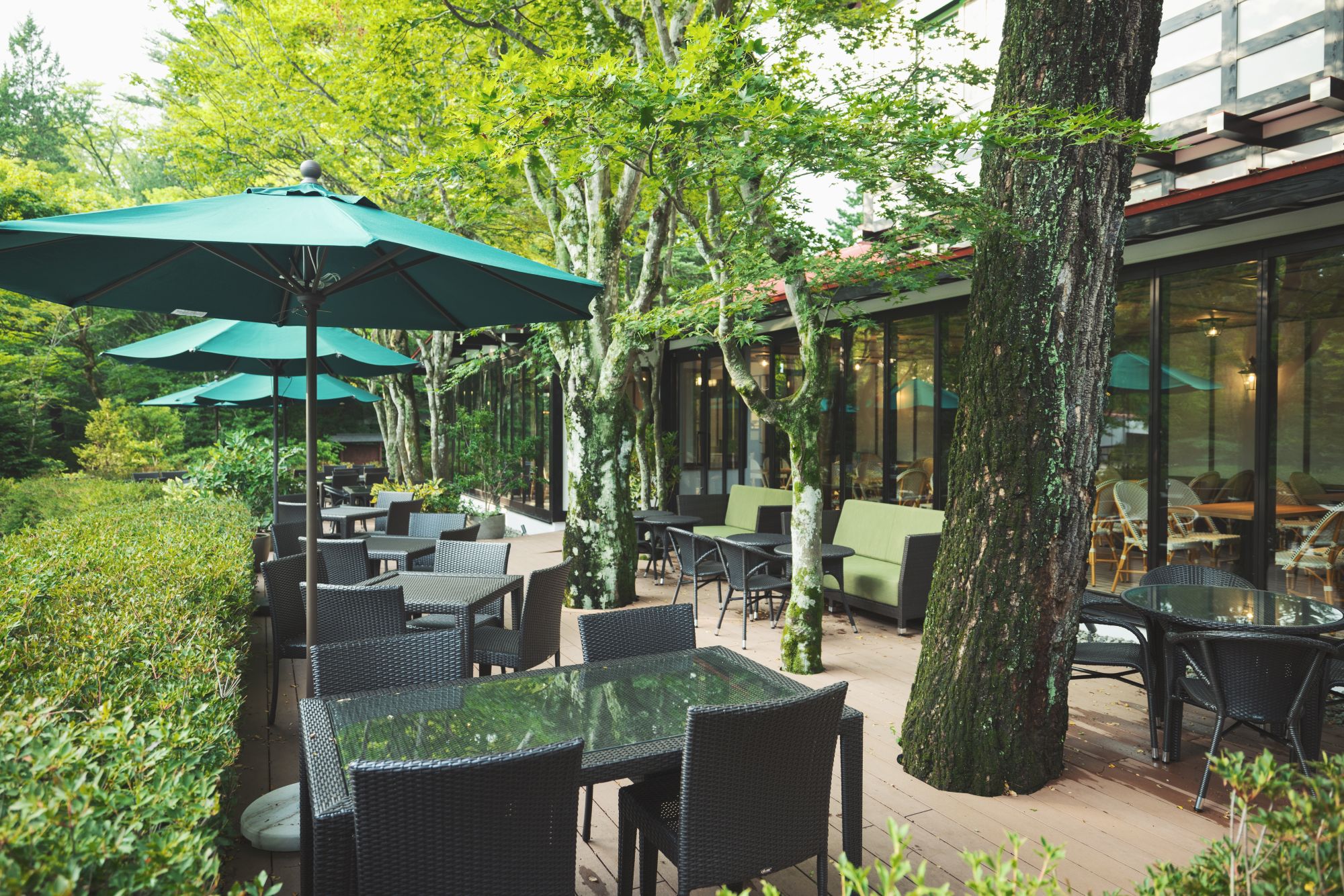 カフェテラス外