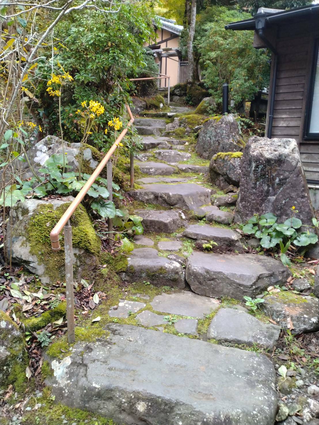 客室「かやぶき」までの道のり（※階段がございます）