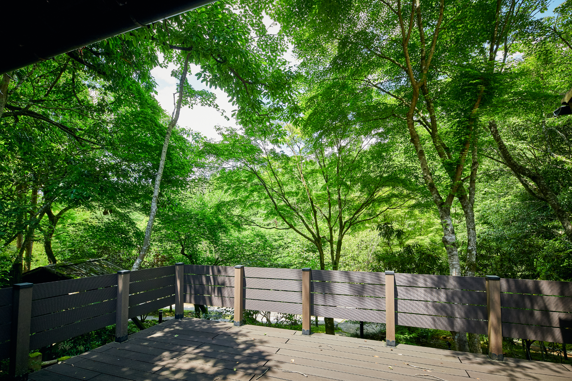 【離れ_B】和室2間・露天岩風呂・テラス