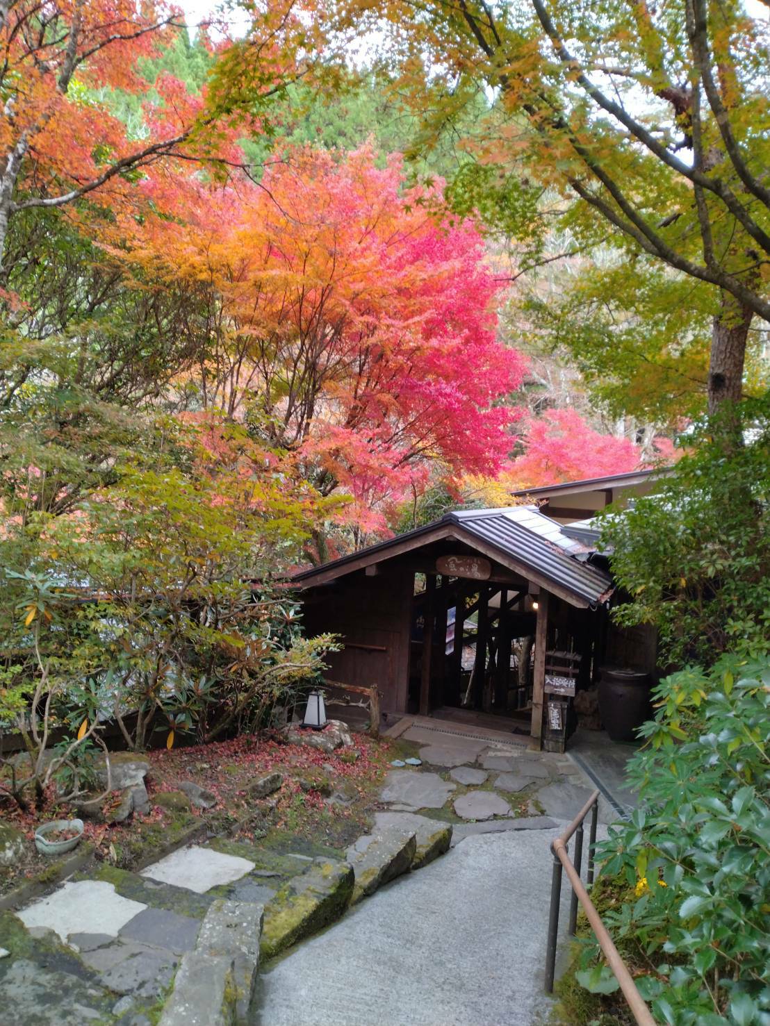 母屋までの道のり（※階段がございます）