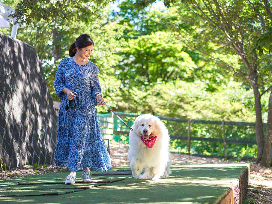 屋外ドッグランでお散歩♪