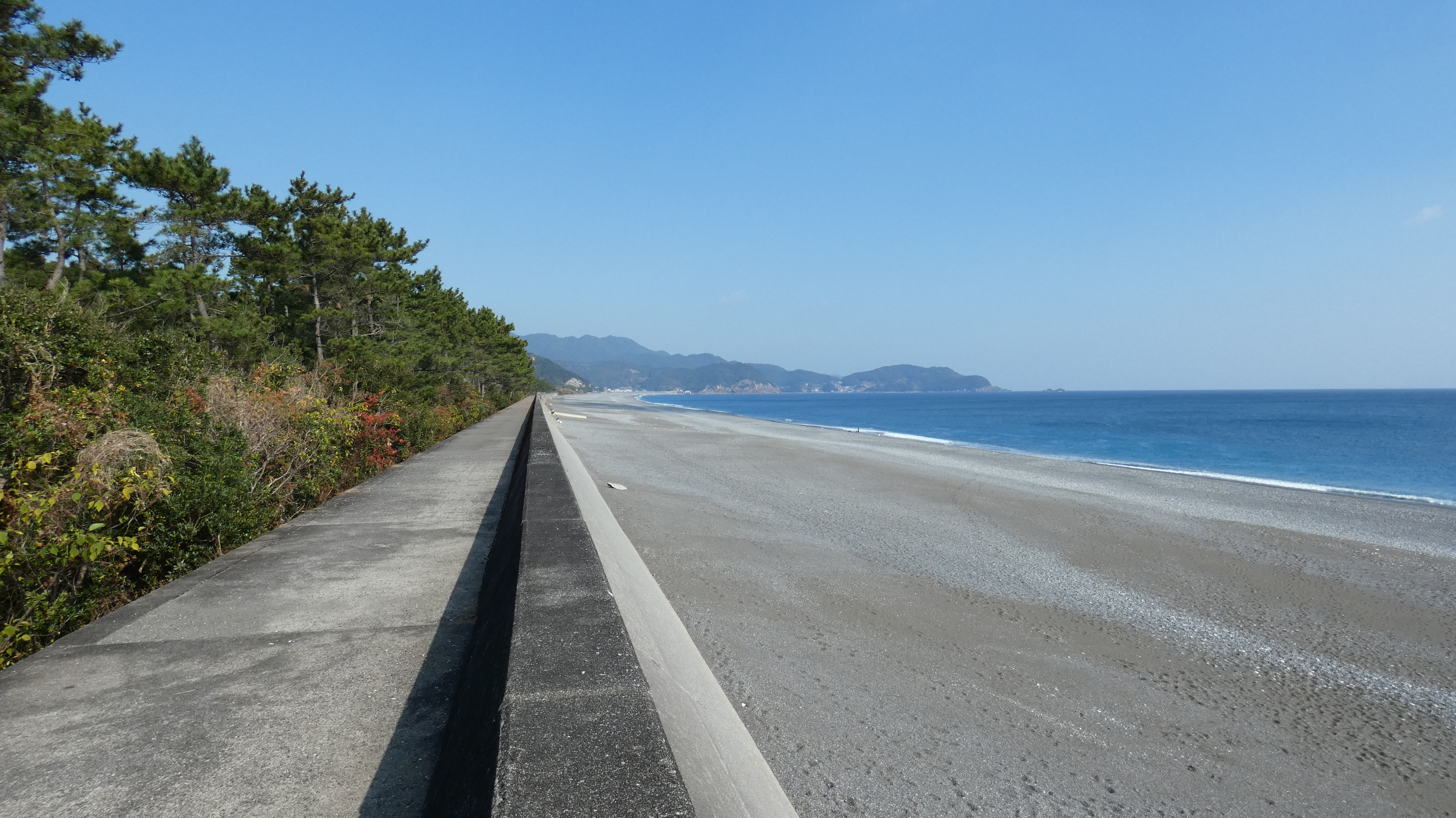 旅の宿 はるさめ 写真 動画 楽天トラベル