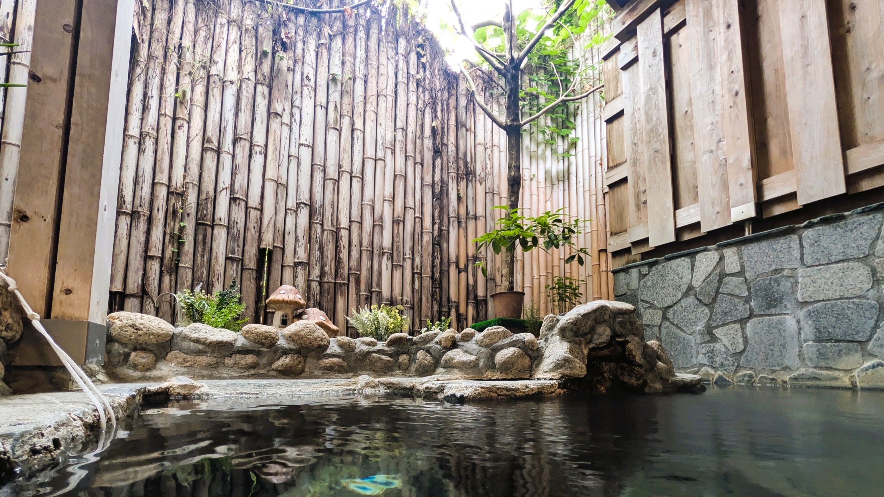 貸切風呂「はいからの湯」。緑に囲まれほのかな緑の香りに包まれながらの入浴。