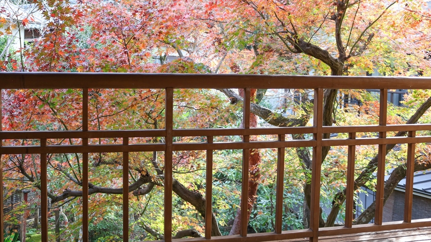 特別室　実篤の間「孔雀」から眺める美しい紅葉