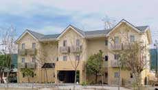 ビジネスホテル アクセス鴨島 外観