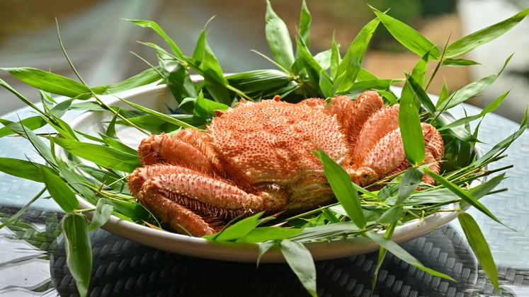 【初夏の美味】心が喜ぶ初夏の味〜北陸の希少な地物「毛蟹」と旬の食材を味わう