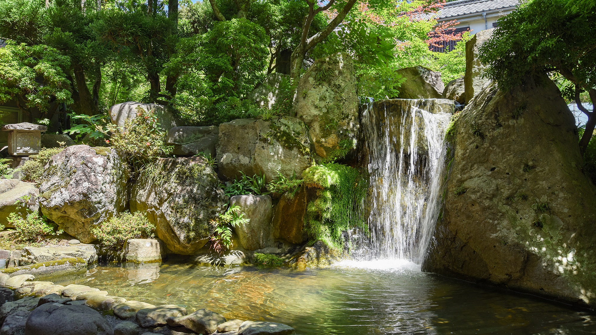 【ダイニング：天樹の滝】岩と流水が織りなす癒しの空間の中、腕によりをかけた会席料理をご賞味下さい。