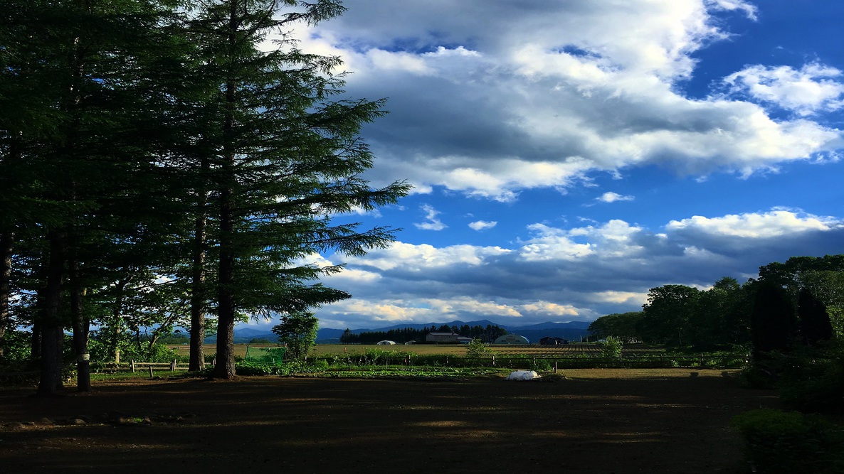  窓からでっかい☆とかちの朝陽に感動☆彡 素泊まりプラン