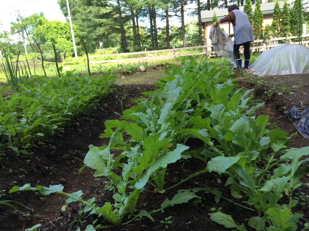 NEW！！北海道/十勝産和牛ステーキプラン