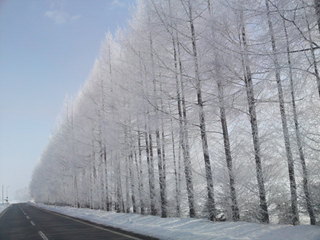 霧氷