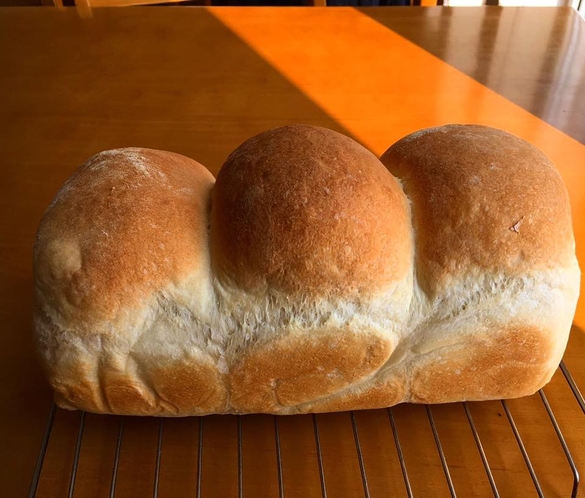 朝食　自家製パン