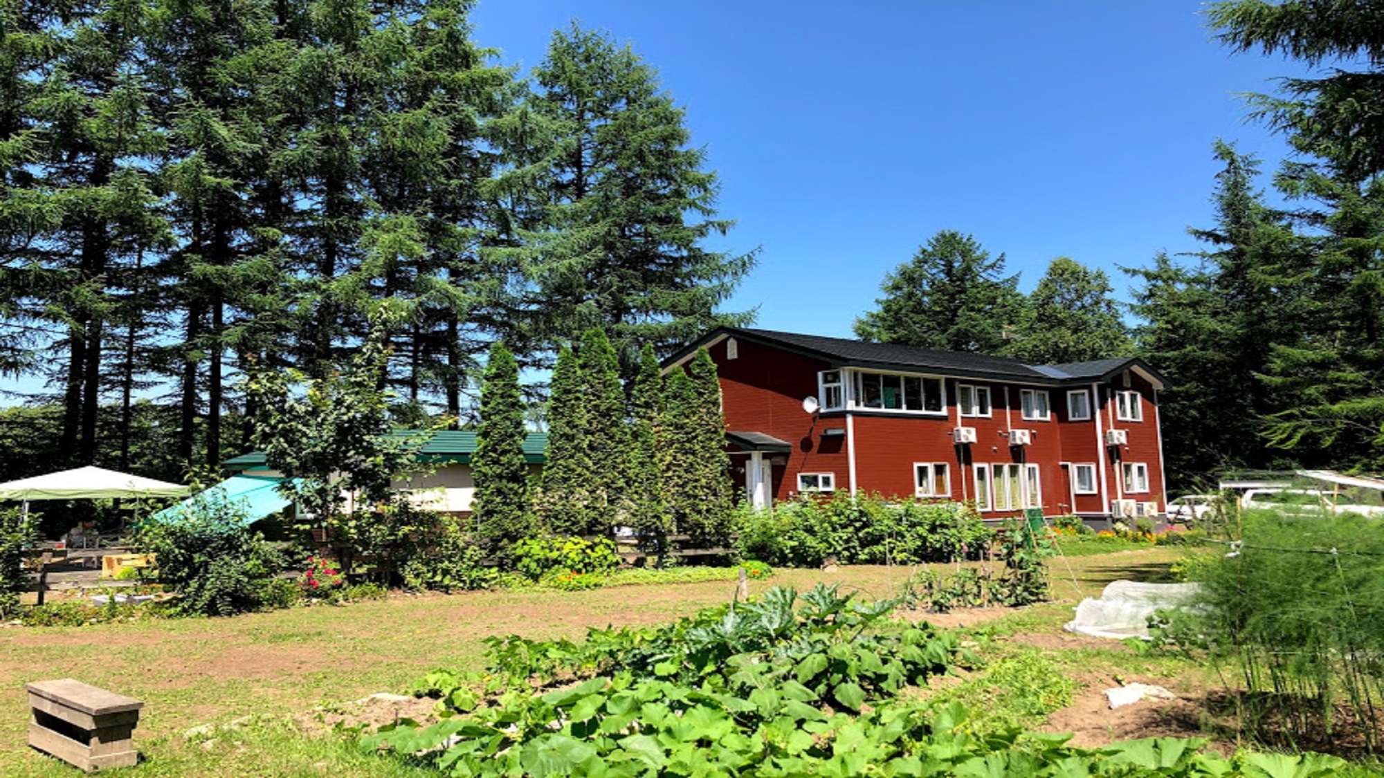 星空自慢の宿 帯広八千代ユースホステル 宿泊予約 楽天トラベル 星空自慢の宿 帯広八千代ユースホステル 宿泊予約 楽天トラベル