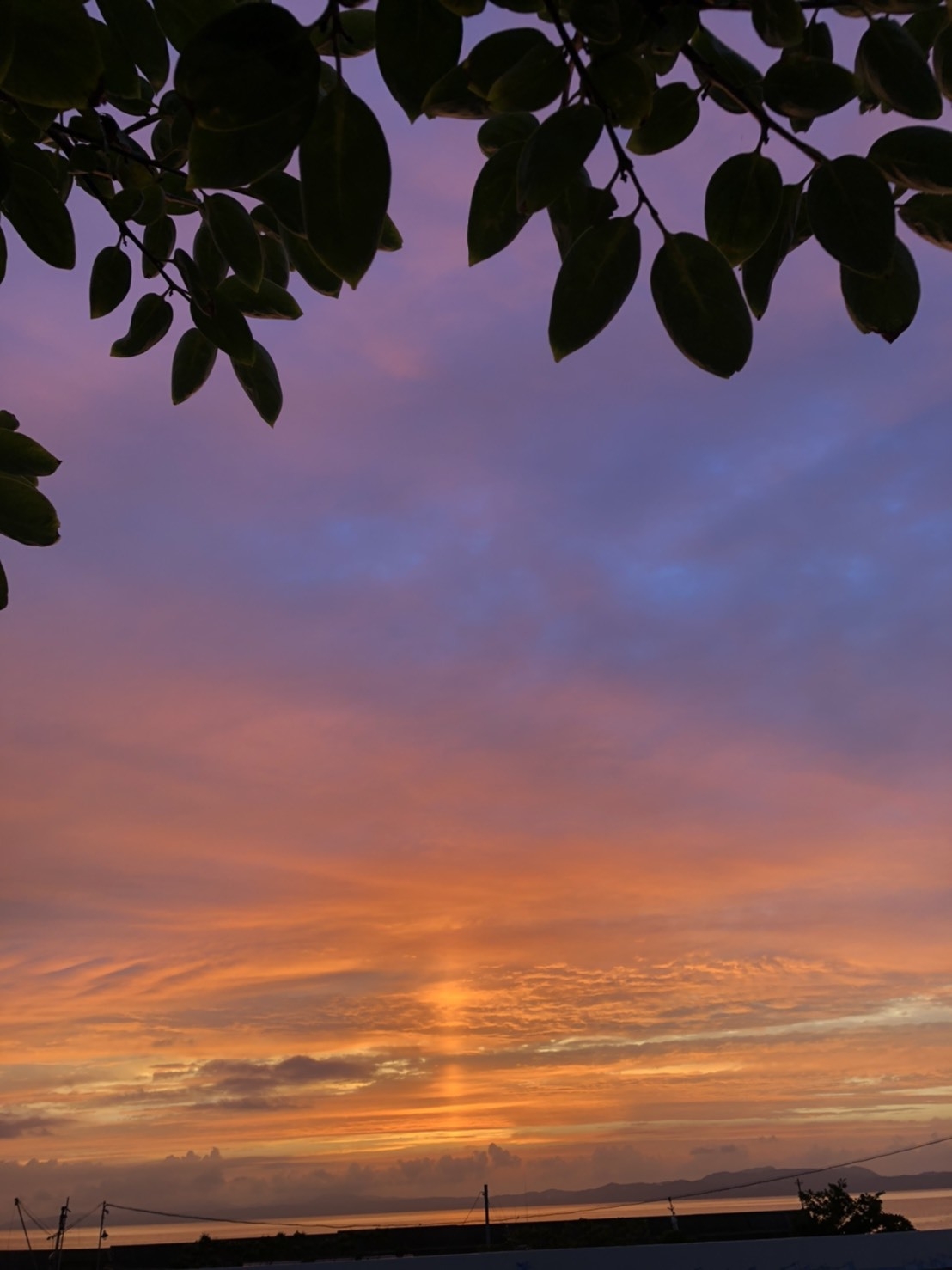 炊き立てごはんの朝食付き♪