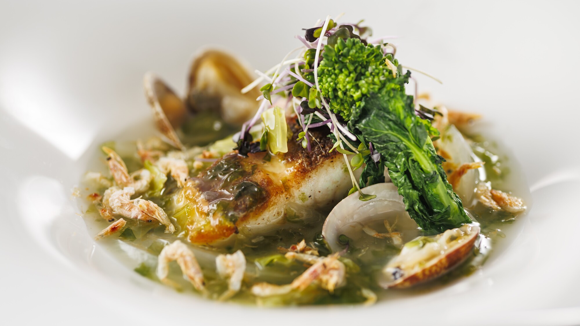 ◆スタンダードフレンチイメージ（2026春）ポワソン