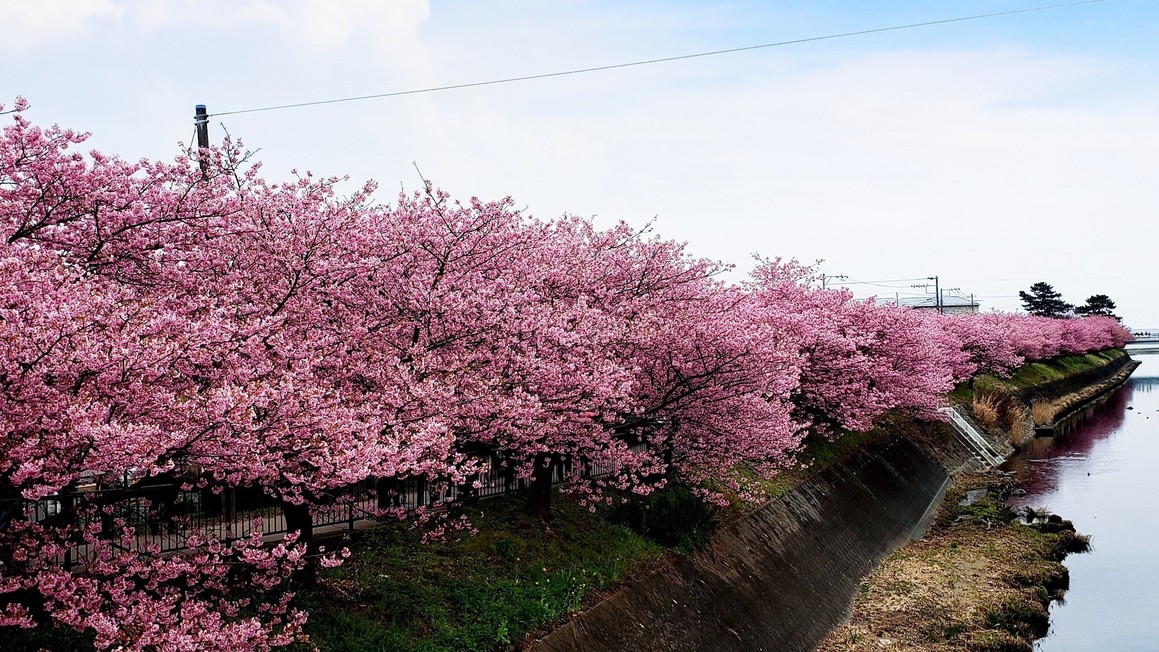 【新春プラン】梅酒で乾杯＆レイトアウト12時＝朝食付き＝