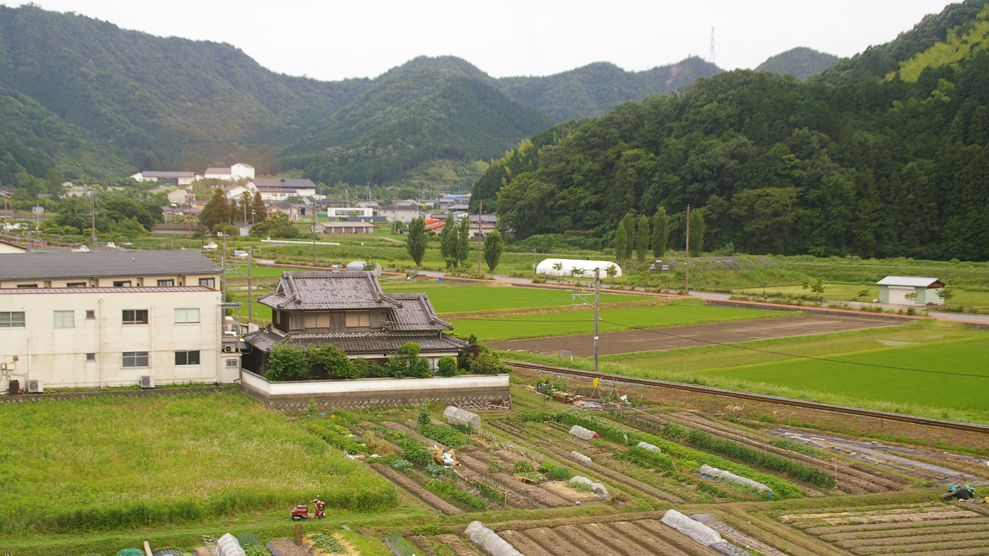 *お部屋の窓からの景色。