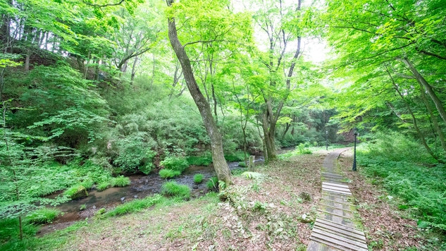 ≪料理長の特選レシピ・手作りハンバーグ≫〜パスタ＆前菜・温菜食べ放題 ＝メイン料理以外は食べ放題＝
