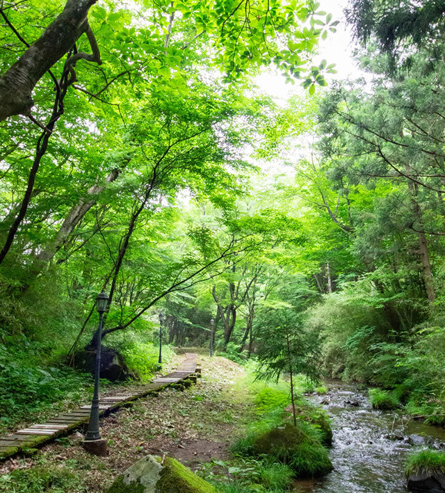 お夜食特典！ホテル特製【夜鳴き蕎麦】高原の美味しいご朝食（ご朝食付）