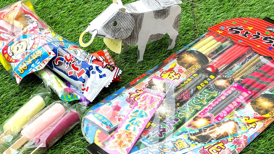 【夏休み5大特典】花火にアイスに工作も！お子様が主役のわくわく夏の思い出宿泊プラン(1泊2食付)