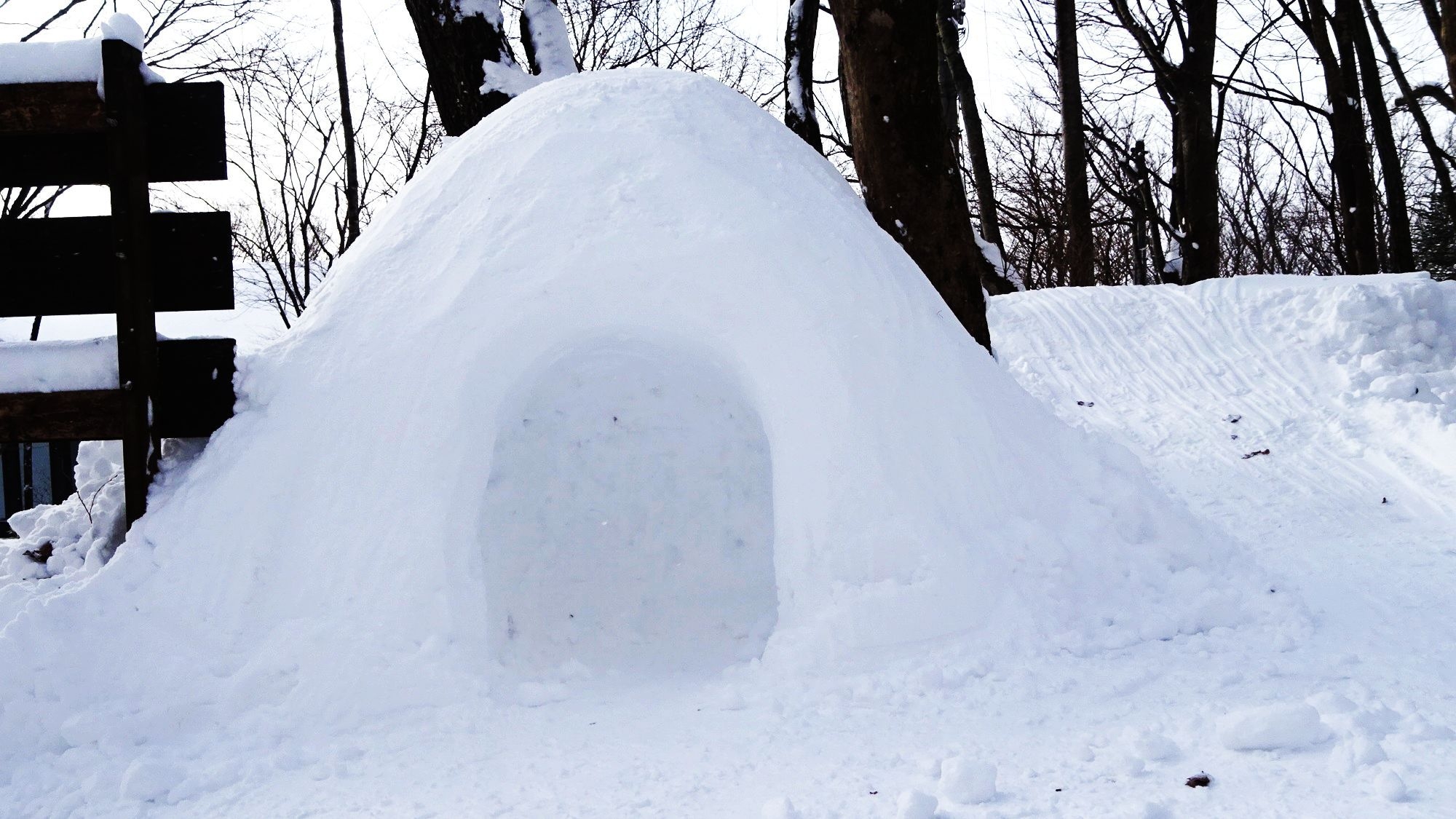 冬季限定！雪景色満喫★自慢の欧風卵料理★1泊朝食付ファミリープラン