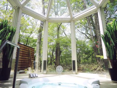 Conservatory style jacuzzi
