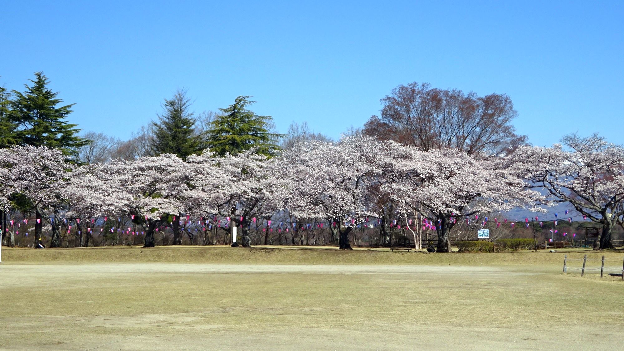 黒磯公園、那珂川河畔公園
