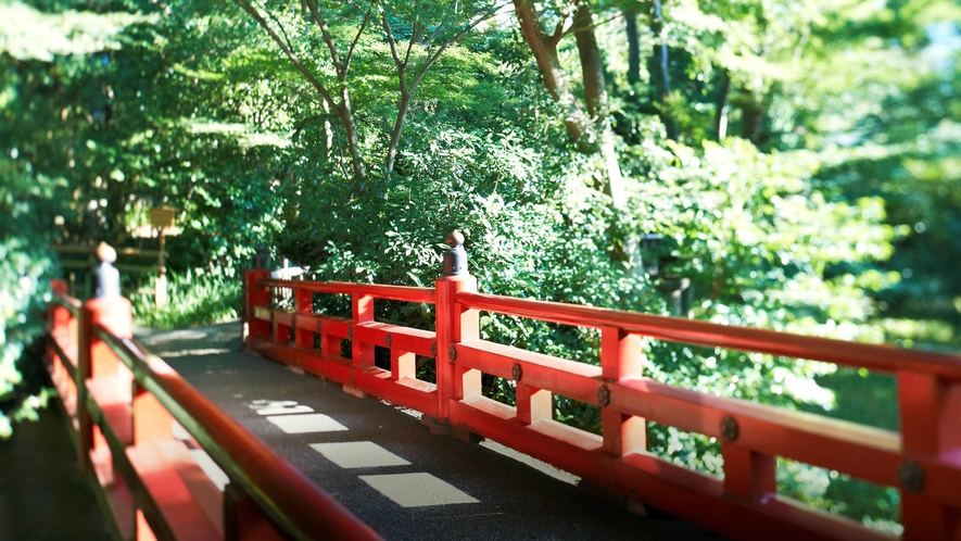 自然豊かな庭園