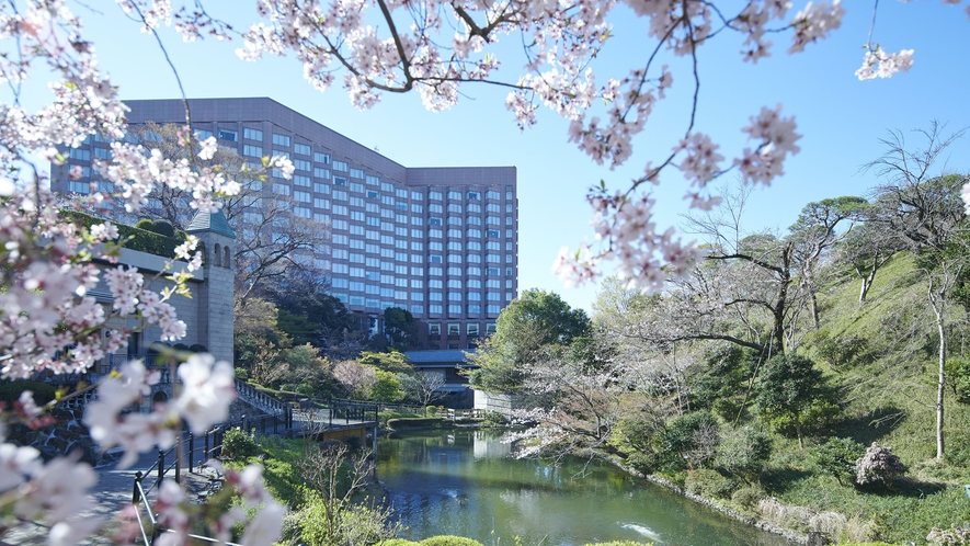 春の桜とホテル椿山荘東京