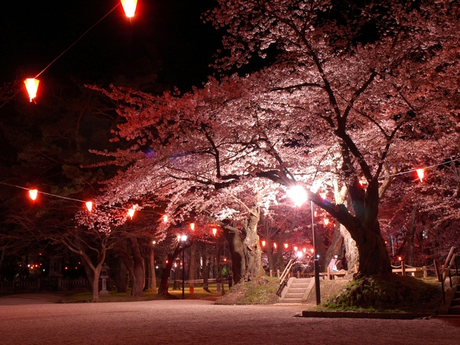 千秋公園の桜