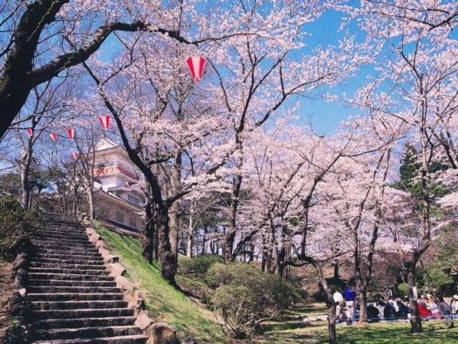 千秋公園の桜祭り