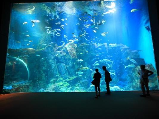 男鹿水族館ＧＡＯ