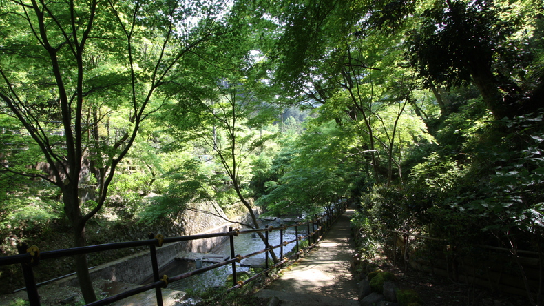 【夏の美食旅】8月31日までの期間限定◆山翠楼特製「国産鰻の釜めし」特典付プラン／1泊2食付   