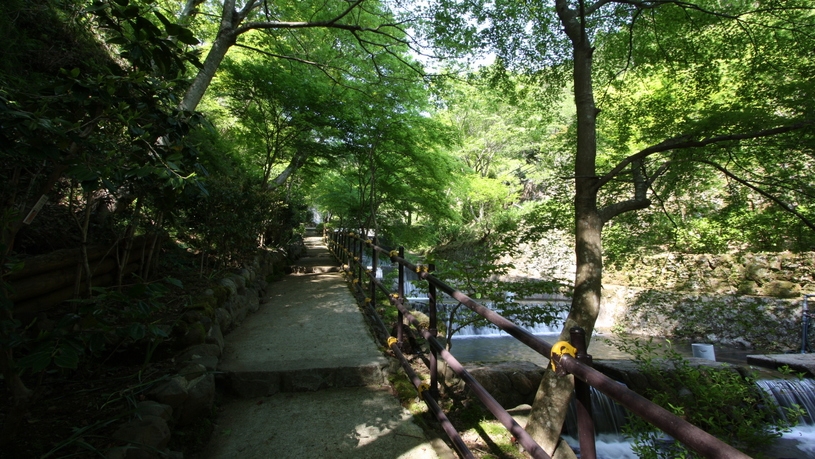 【野口観光62周年記念】北海道からの贈り物◆北海道産毛蟹を堪能！山翠楼特選ご褒美プラン