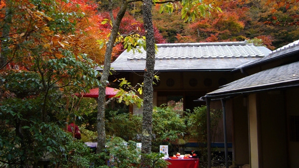 【9月〜10月限定】季節の会席と秋の味覚を堪能！〜香り豊かな「松茸土瓶蒸し特典付」〜（1泊2食付）