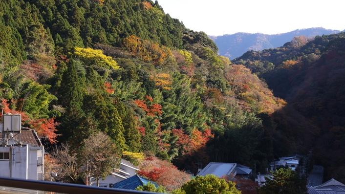 【秋季限定】〜芳醇な香りに包まれる、秋の贅沢〜季節の会席と味わう「松茸土瓶蒸し」特典付／1泊2食付