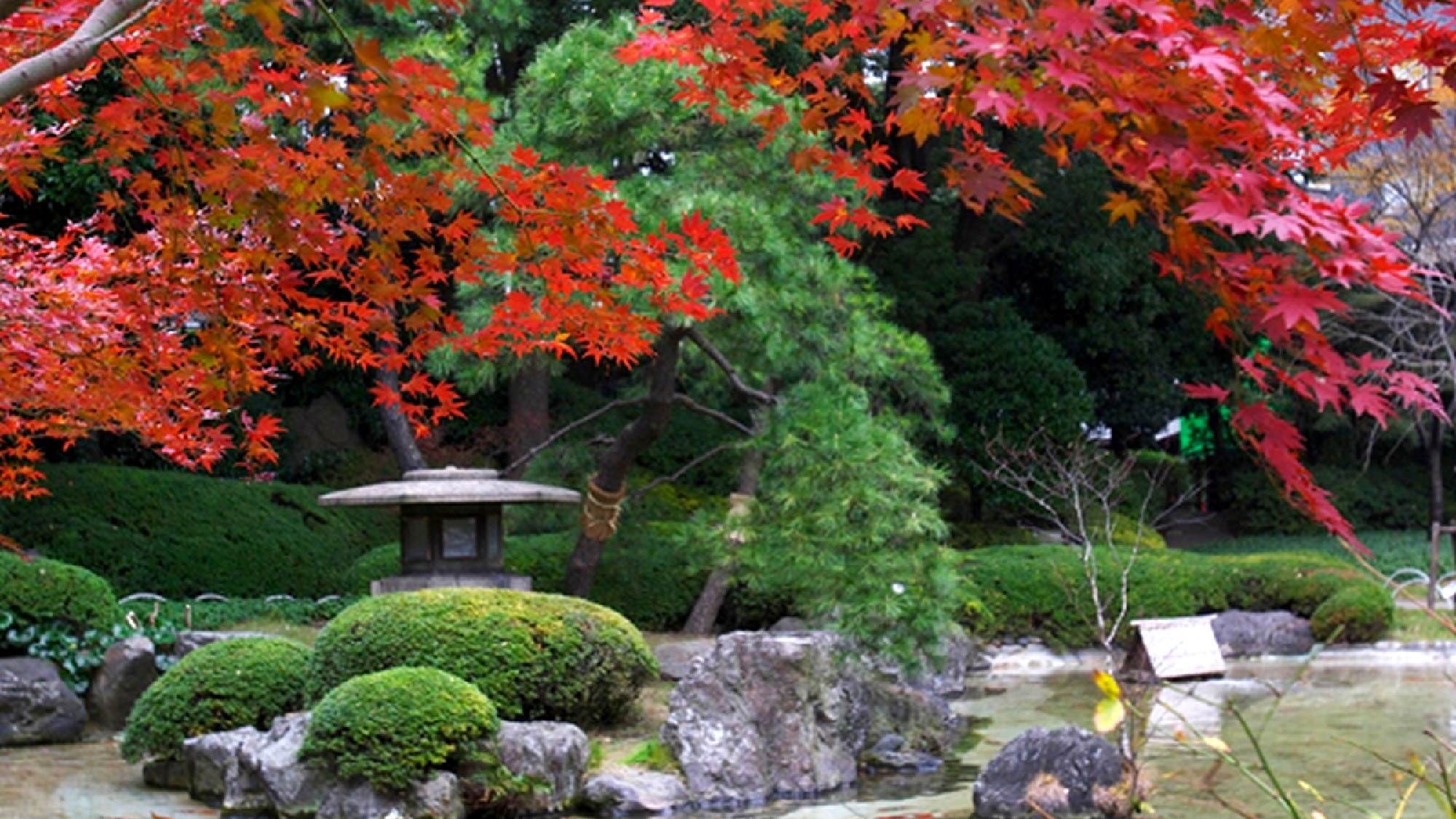 ザ・プリンス さくらタワー東京(眺望・庭園)