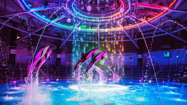 水族館「マクセル アクアパーク品川」入場券付きプラン　室料のみ