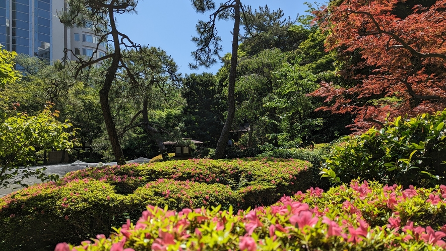 日本庭園