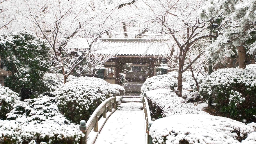 冬の日本庭園