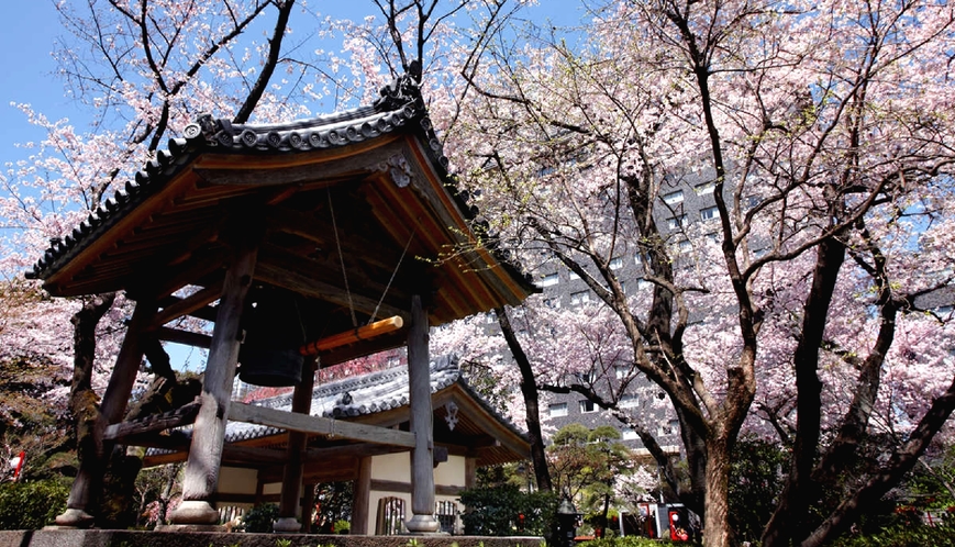 春の日本庭園